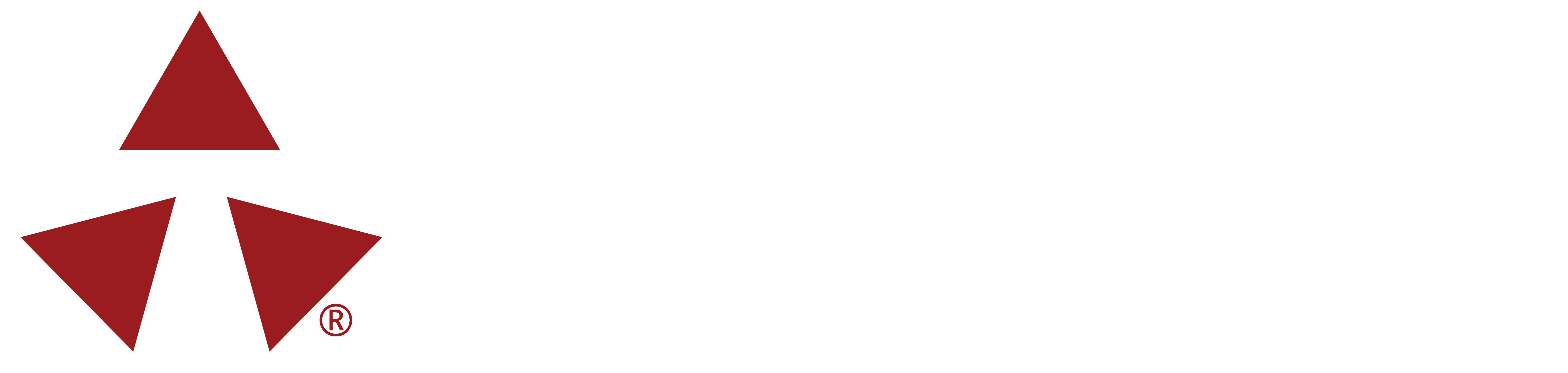 Ternion Corporation